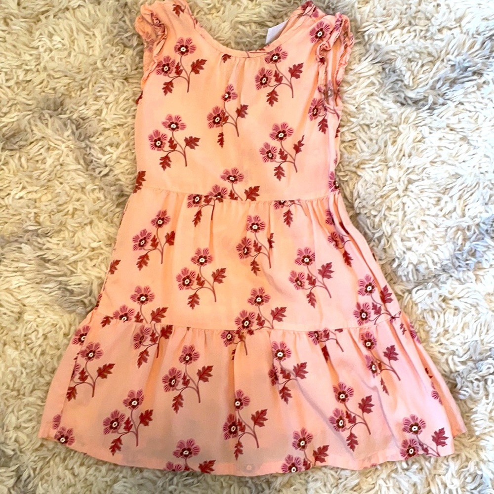 Girls Carter’s pink dress size 5t
